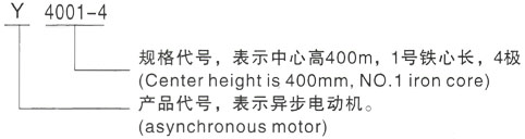 西安泰富西玛Y系列(H355-1000)高压YKK5004-10/450KW三相异步电机型号说明