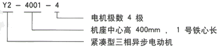 YR系列(H355-1000)高压YKK5004-10/450KW三相异步电机西安西玛电机型号说明